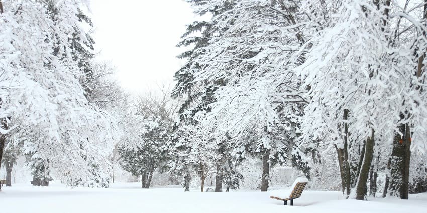 Beautiful snapshot of the Snow Park goa which is produced artificially in ocntrolled environment