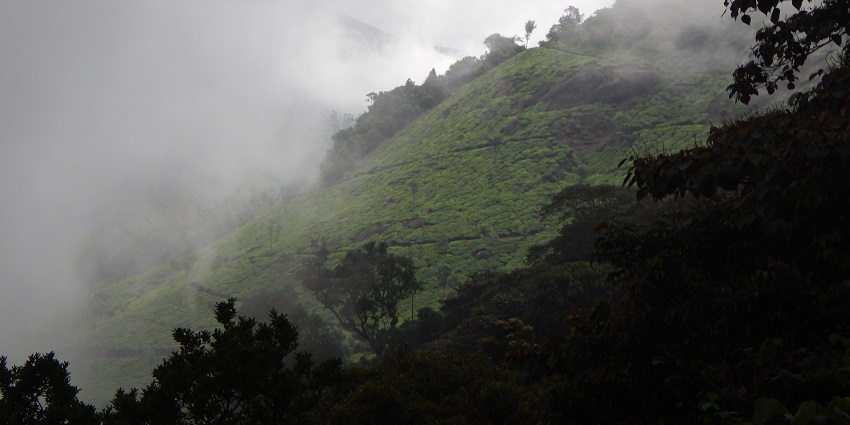 Panoramic image of the beautiful View point covered in the lush green plantation