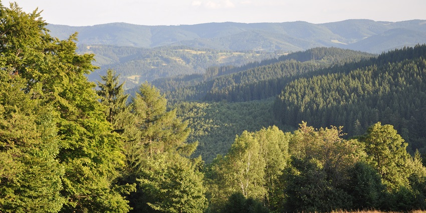 A picture of a scenic valley in Solan, one of the best hill stations near Anandpur Sahib