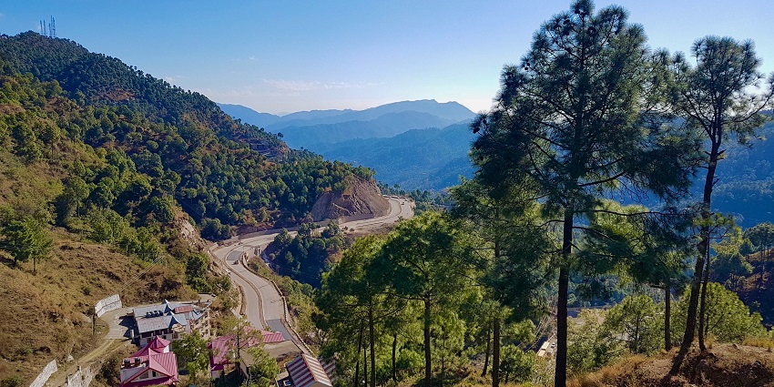 Image of green trees on twisty road mountain during daytime and lush greenery surroundings