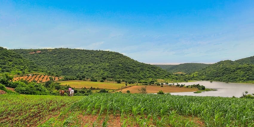 A picture of a field in Nellore with small hills in the background and a farmer ploughing the field