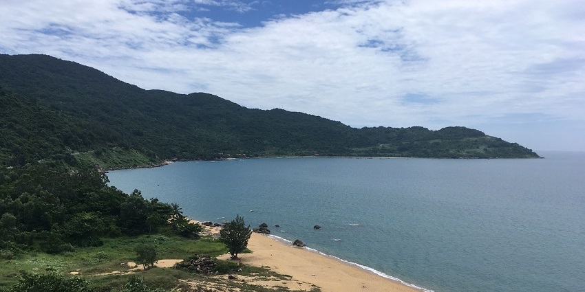 Lush greenery and winding roads on Son Tra Peninsula, Da Nang, overlooking the sea.