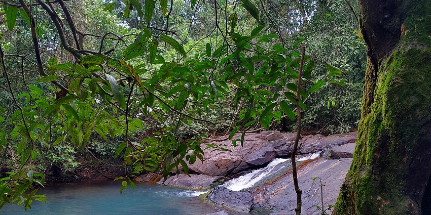 These forests and waterfalls make trekking in Goa much more relaxing and soothing.
