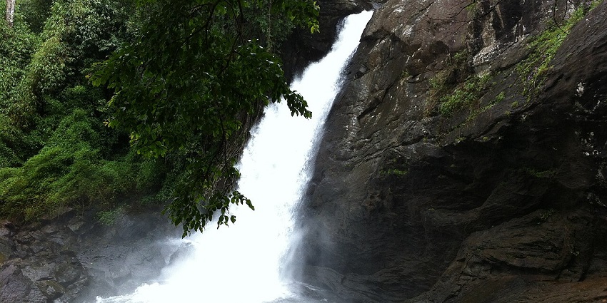 Soochipara Falls has a well-laid out trekking trail that provides a majestic experience