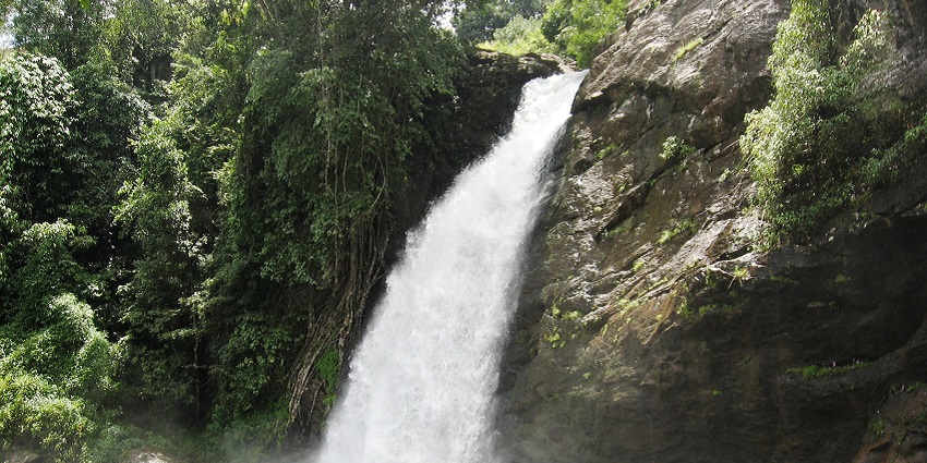 Soochipara Falls are cascading waterfalls and the ambience around it is quite serene.