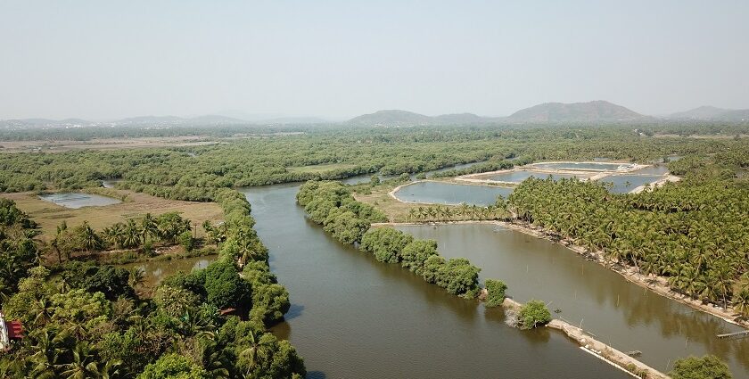 Panoramic landscapes south goa and its beautiful hills and lush green valley