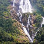 Image of Waterfalls in the Bhagwan Mahaveer Sanctuary range of Western Ghats