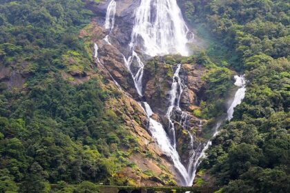 Image of Waterfalls in the Bhagwan Mahaveer Sanctuary range of Western Ghats