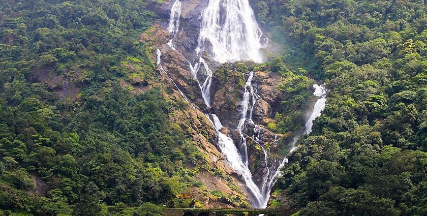 Image of Waterfalls in the Bhagwan Mahaveer Sanctuary range of Western Ghats