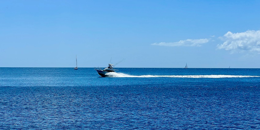 Speed boating is one of the most thrilling and exciting things to do for travellers.