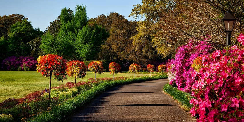 A view of a park surrounded by lush greenery and flowers. Spending a day here is the best thing to do in Ratlam.