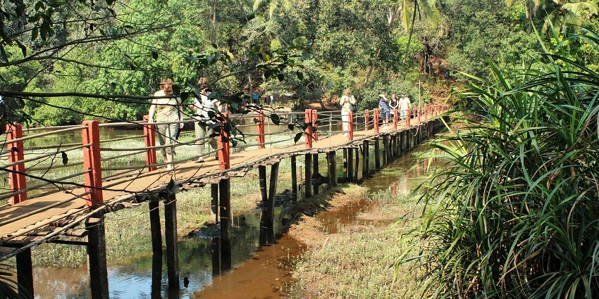 Tourist strolling into the spice garden in the summer of Goa on their vacation