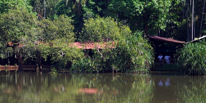 Visiting the spice plantations is an educational experience for people of all ages.