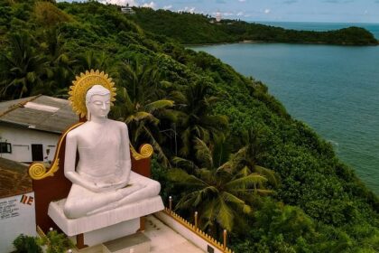 A breathtaking view of a large statue of Buddha surrounded by lush greenery and an ocean.