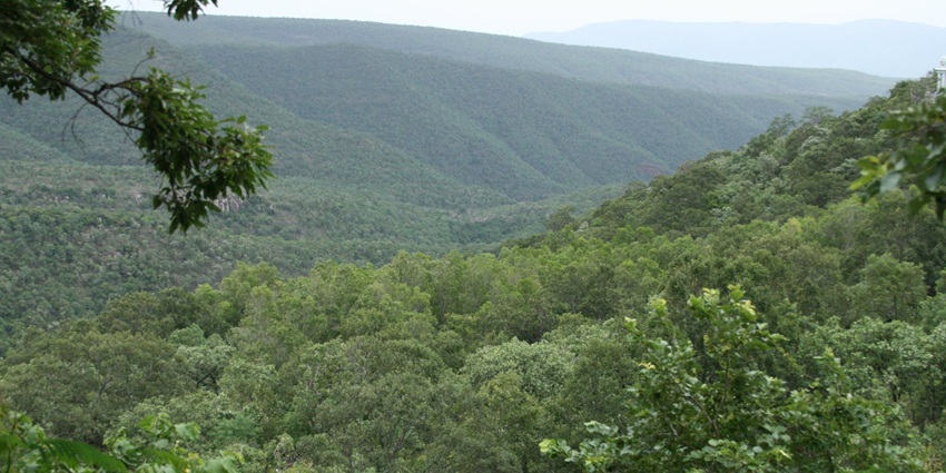 Sri Venkateswara National Park, one of the best places to visit near Tirupati within 50 km