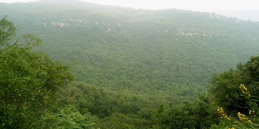 Sri Venkateswara Park is one of the best places to visit in Tirupati for wildlife lovers.
