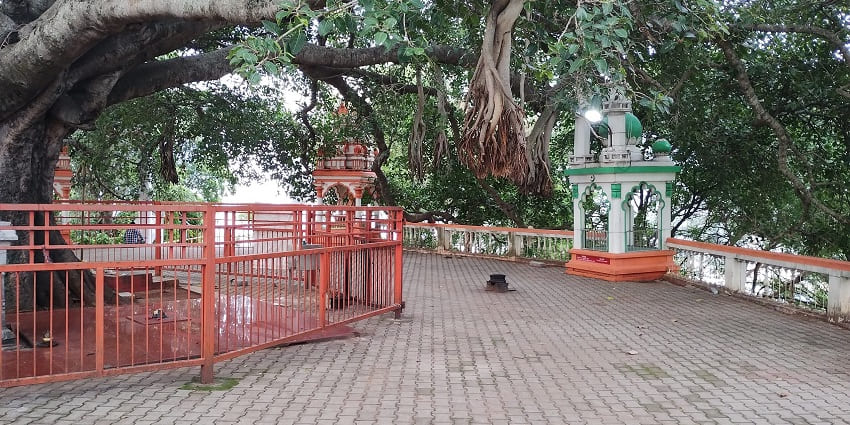 Tranquil image of a Banyan tree in the temple complex of Sri Vijaya Duga Devi Temple