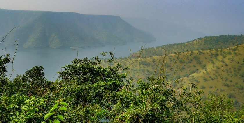 An image of Octopus Viewpoint, located in Srisailam, in the state of Telangana, India.