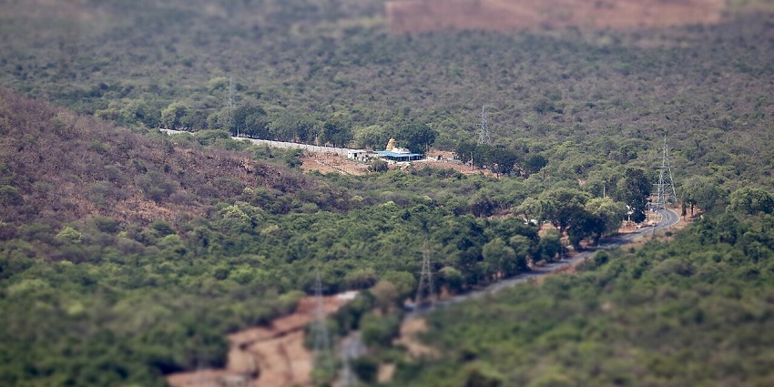 A picture of a road passing through a dense forest. One of the best places to visit near Tirupati within 50 km
