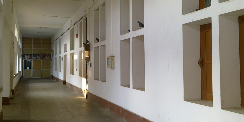 Interior view of a museum gallery with display cases containing diverse cultural artefacts.