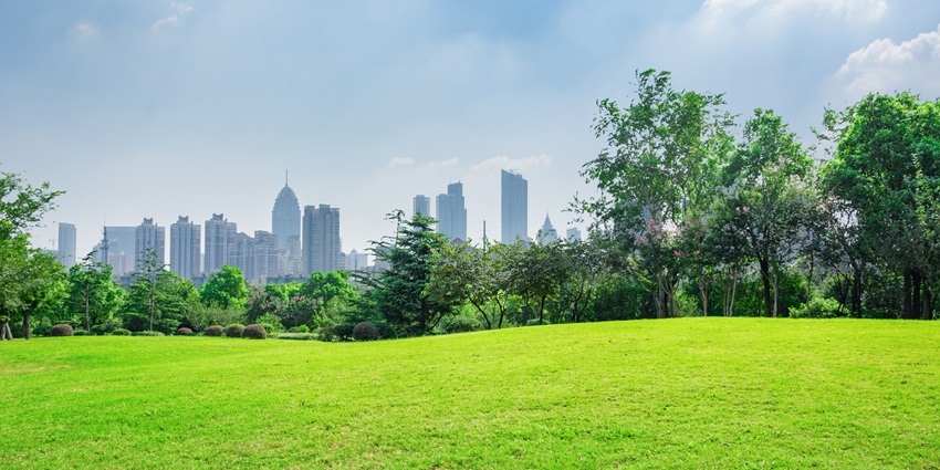 Enjoy a peaceful walk and greenery at Huda City Park in the heart of Rohtak.