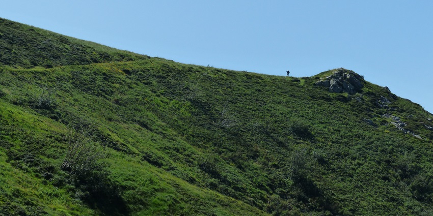 Wandering the verdant fields of Monte Hill is one of the best things to do in Margao for nature lovers