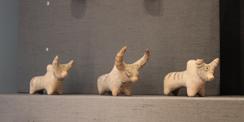 Studying the terracotta figures is one of the best things to do in Sanghol museum.
