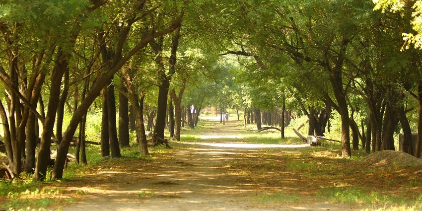 Sultan National Park is among the best places to visit in Gurgaon for couples amid nature.