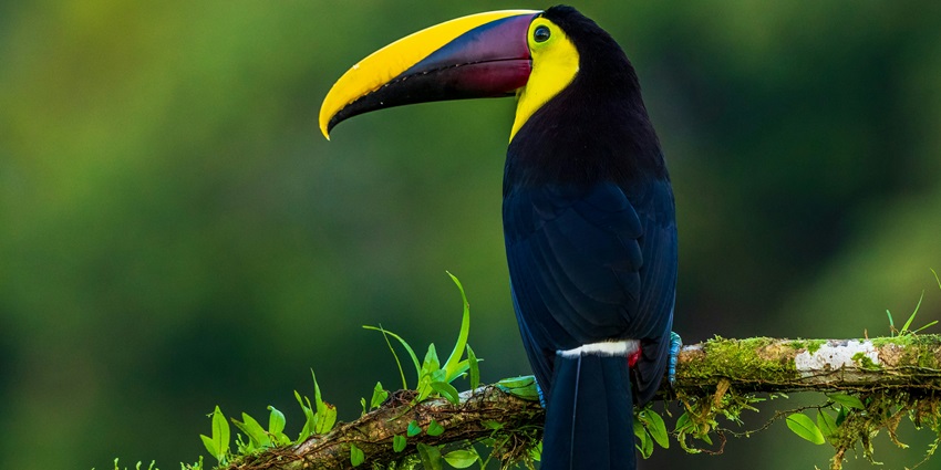 The Sultanpur Bird Sanctuary, one of the top places to visit in Gurgaon with friends.