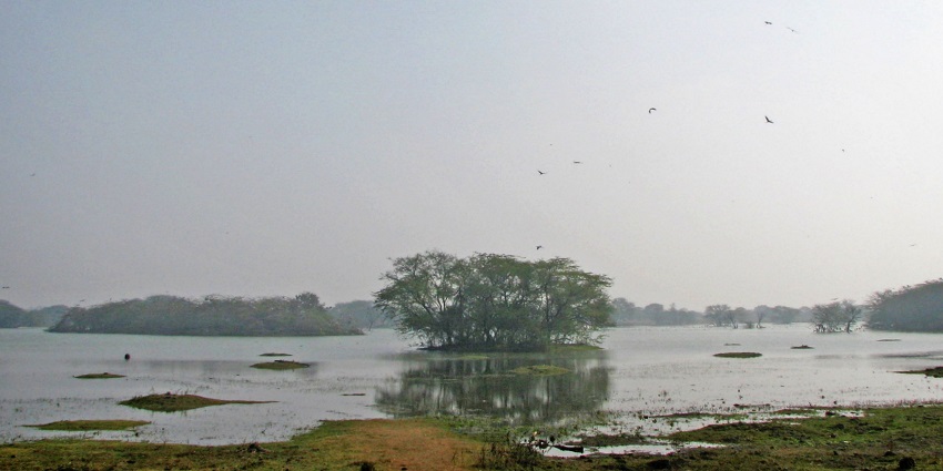 Panaromci snapshot of the Sultanpur National Park which is the home to rare bird species