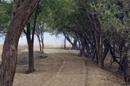 A pathway at Sultanpur National Park.