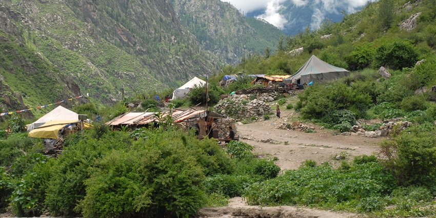 Shey Phoksumdo National Park organises camps for caravans as resting places for the tourists.
