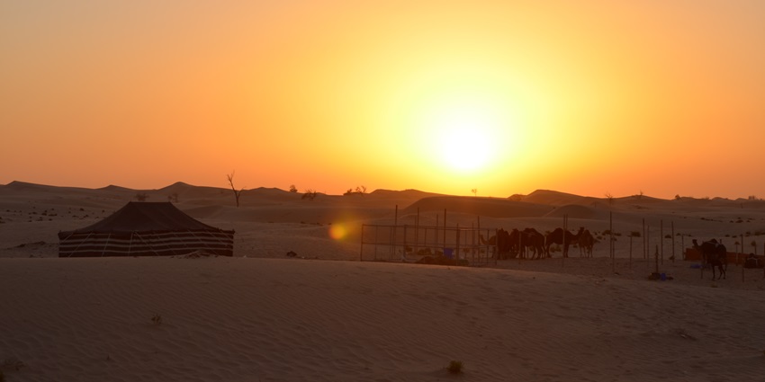 Picturesque view of Desert Safari Bikaner offers fiery sunsets and romantic dune views