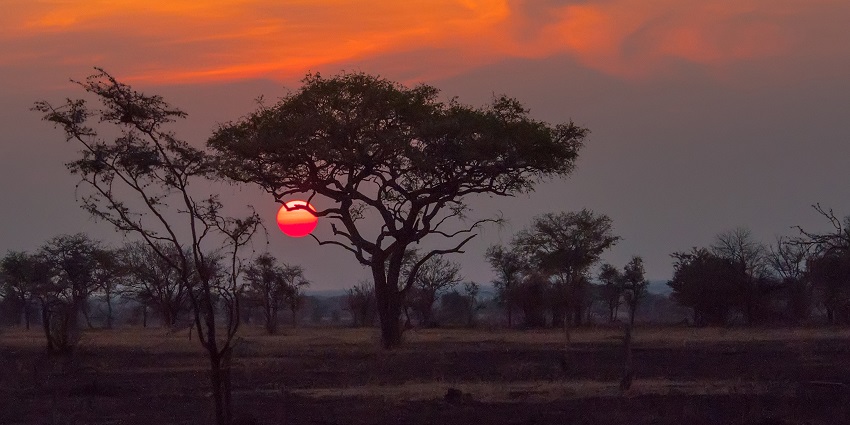 Stunning sunset over the Ajmer desert, with vibrant hues painting the sky and golden sands
