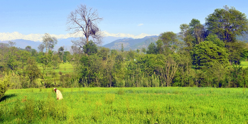 Lush green hills and valleys under a clear blue sky in Jammu and Kashmir’s Poonch.