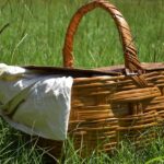 Image of a picnic basket in summer day on green grass field - Surat picnic places