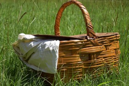 Image of a picnic basket in summer day on green grass field - Surat picnic places