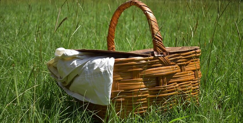 Image of a picnic basket in summer day on green grass field - Surat picnic places