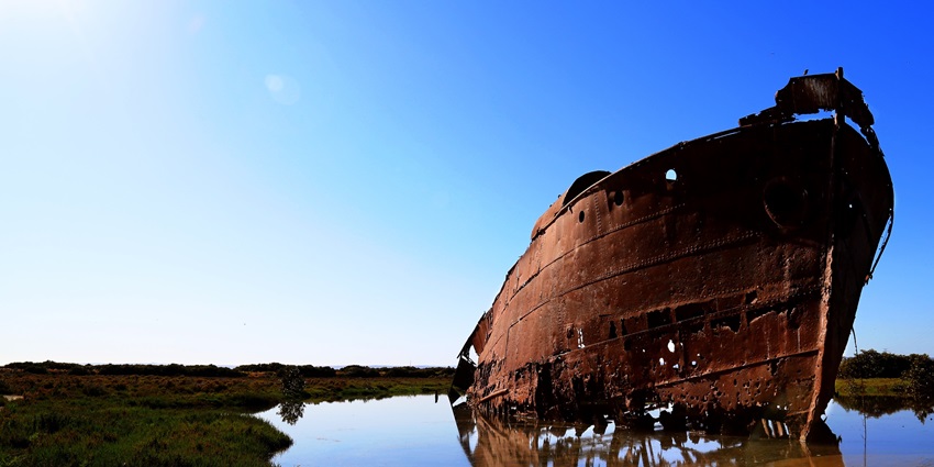 Suzy’s Wreck is a famous dive site in Goa with sunken ship remains and vibrant marine life.