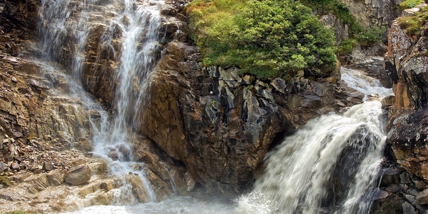 Swimming in Dudhsagar lake is one of the most amazing things to do for travellers.