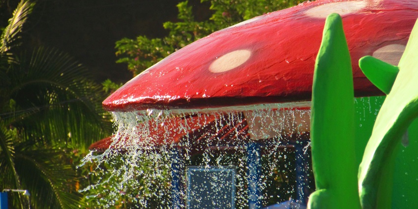 Image of a water park in a giant mushroom design water running through it
