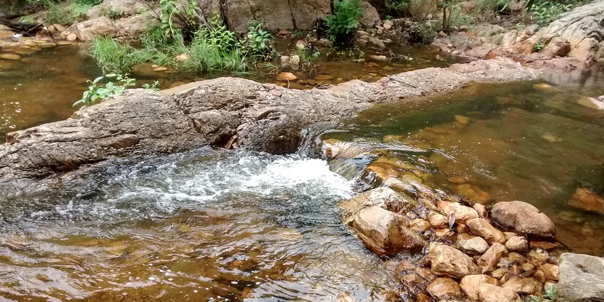 Serene view of the the water streaming forward at Tada falls surrounded by lush shrubs