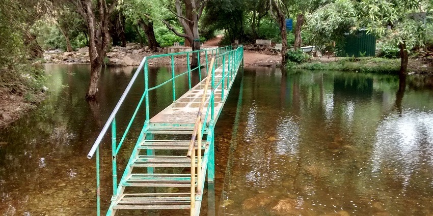 Explore the majestic Tada Falls which is a serene location to spend time and relax.