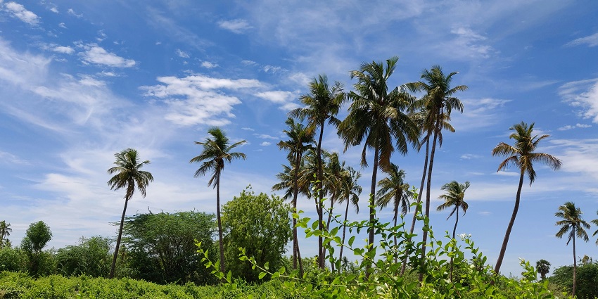 Scenic viewpoint in the hills, offering a panoramic vista of the surrounding valleys under a clear sky