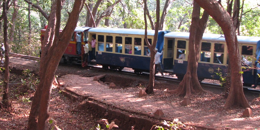 A scenic view of a toy train winding through lush greenery in Matheran, Maharashtra.