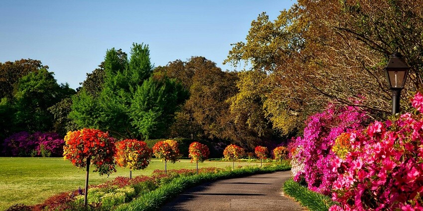Have an amazing quality time at Nikku Park an ultra-modern family park in Jalandhar.