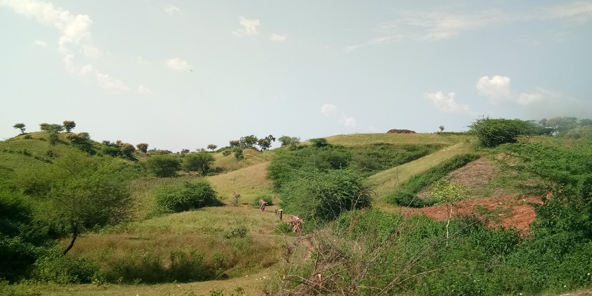 Picturesque view of verdant fields of a village nearby
