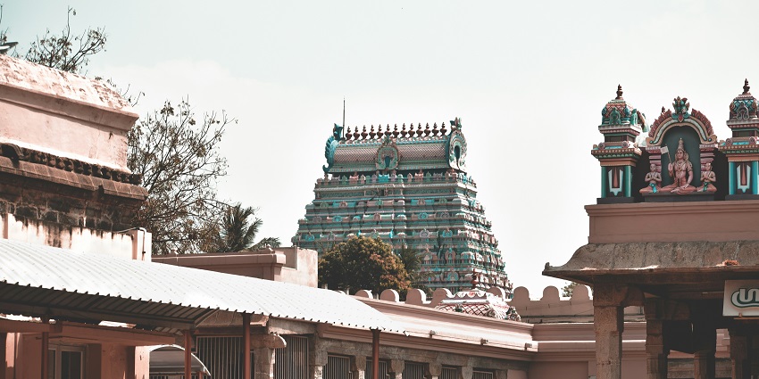 Ranganathaswamy Temple
Alt text: A distant picture of a tall temple in Nellore surrounded by greenery and forest