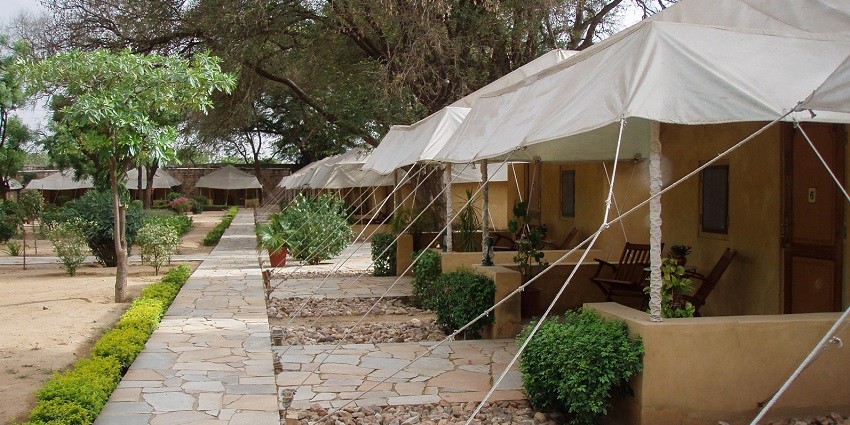 Talvriksha Nature Camp in Alwar offers eco-friendly camping, hiking, and stargazing.