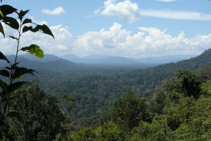 Panoramic view of Taman Negara, Malaysia, featuring lush green forest and hilly terrain.